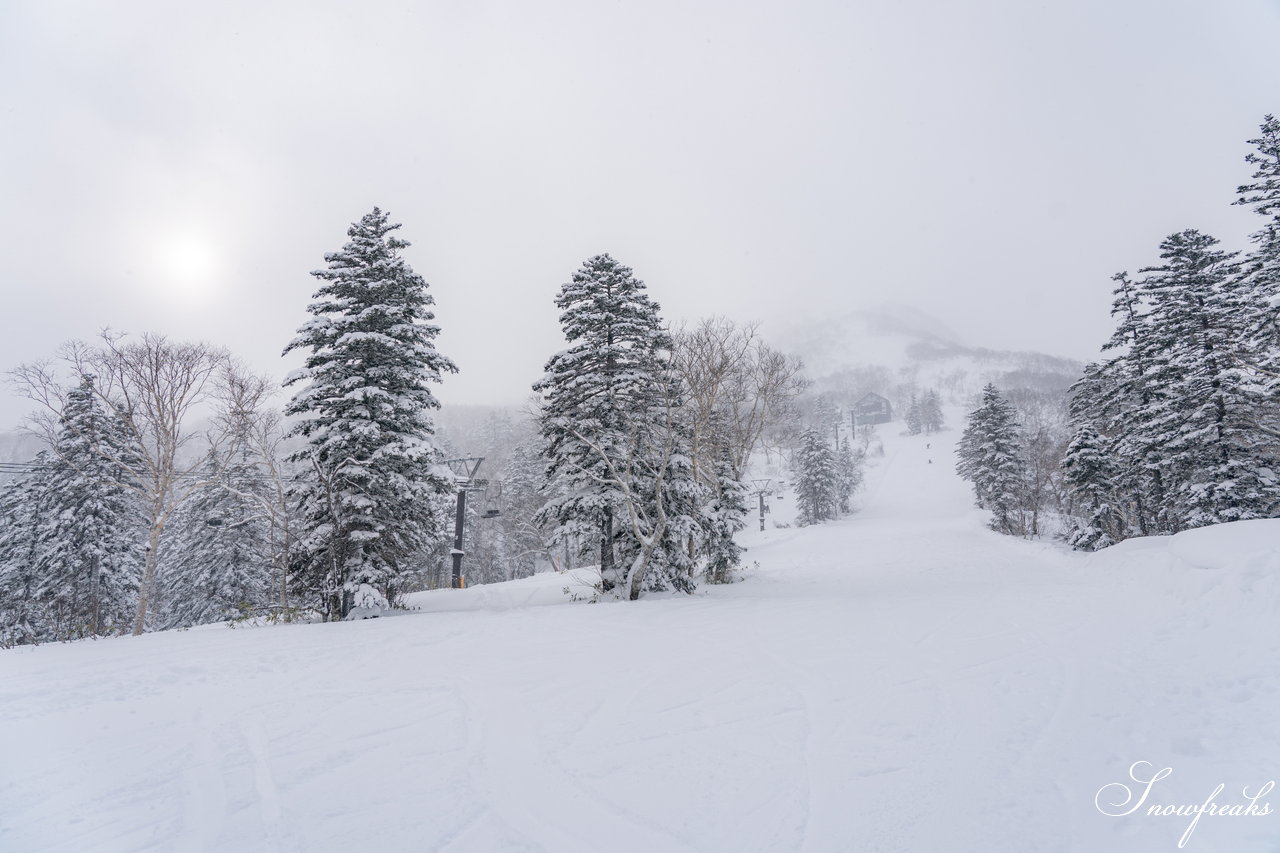 大雪山層雲峡・黒岳ロープウェイスキー場｜極上のふわっふわ粉雪が、たっぷり♪厳冬期を迎えた黒岳のパウダーは、レベルが違います☆